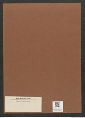 Diatomeae indet. Zeichnungen Sammlung Grunow Mappe 02394 (Herbarium_W_Grunow_drawings_Folder_02394)